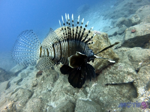 DCIM100GOPROGOPR4254.JPG