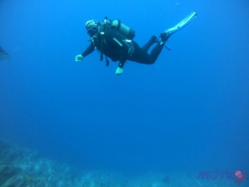 DCIM100GOPROGOPR2655.JPG